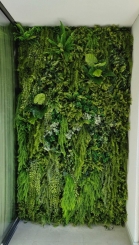 137 Zeleni zid dekoracija